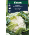 Blomkål 'Snowball'